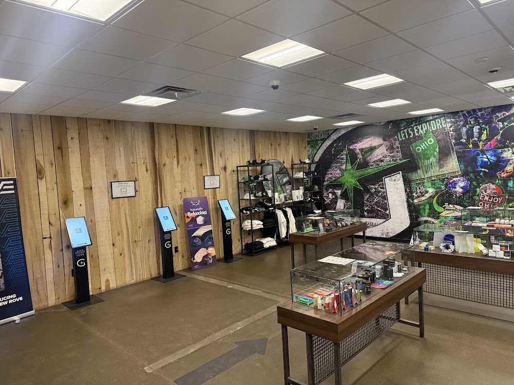 Verdant Creations Columbus photo 5