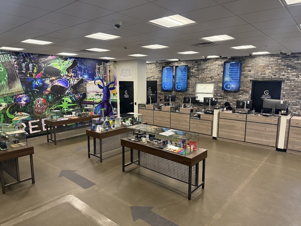 Verdant Creations Columbus photo 8