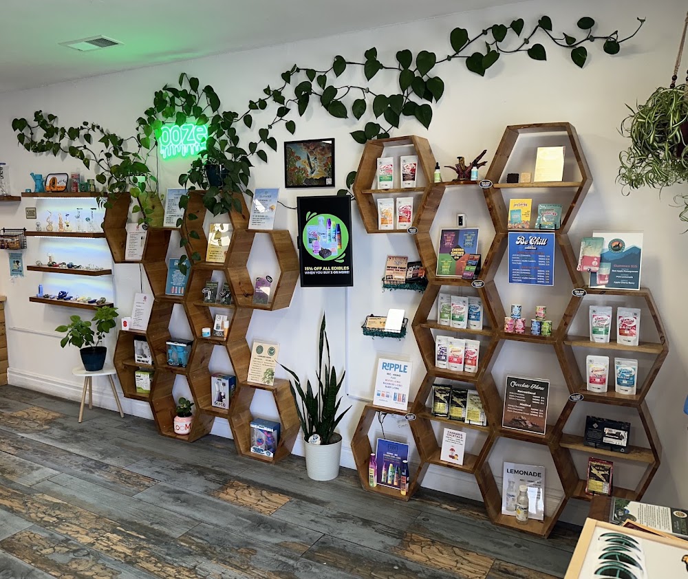 Verve Health Shop photo 2