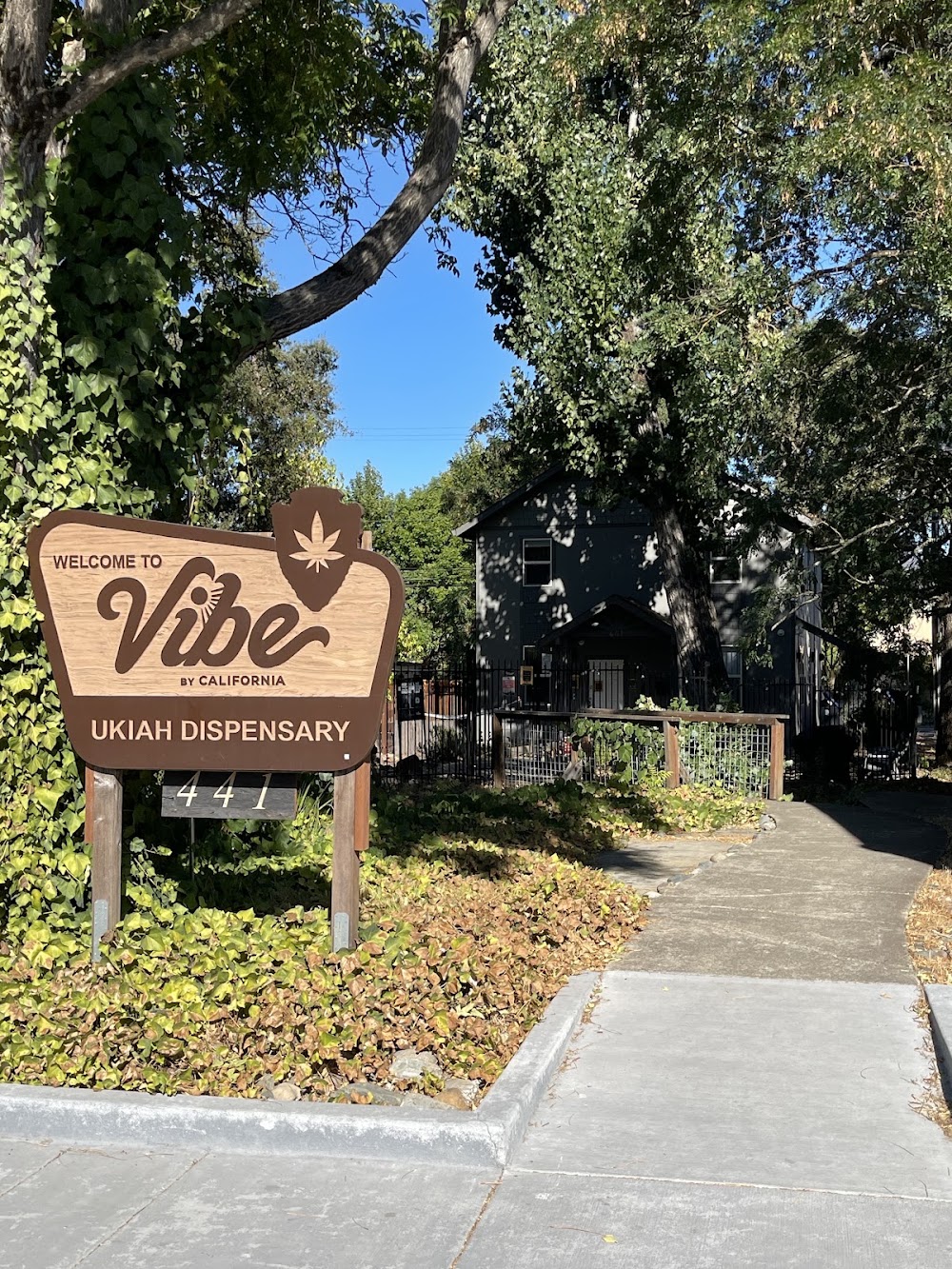 Vibe By California photo 2