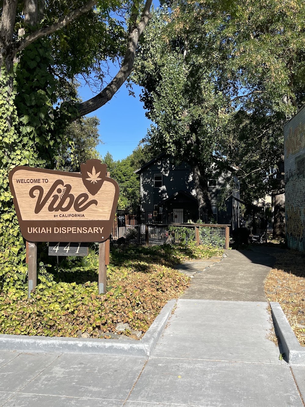 Vibe By California photo 5