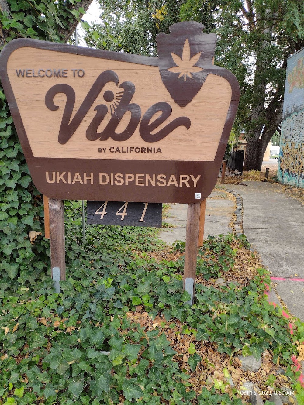 Vibe By California photo 8