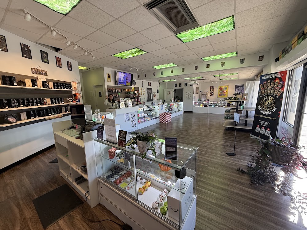 Vintage Smoke Dispensary photo 2