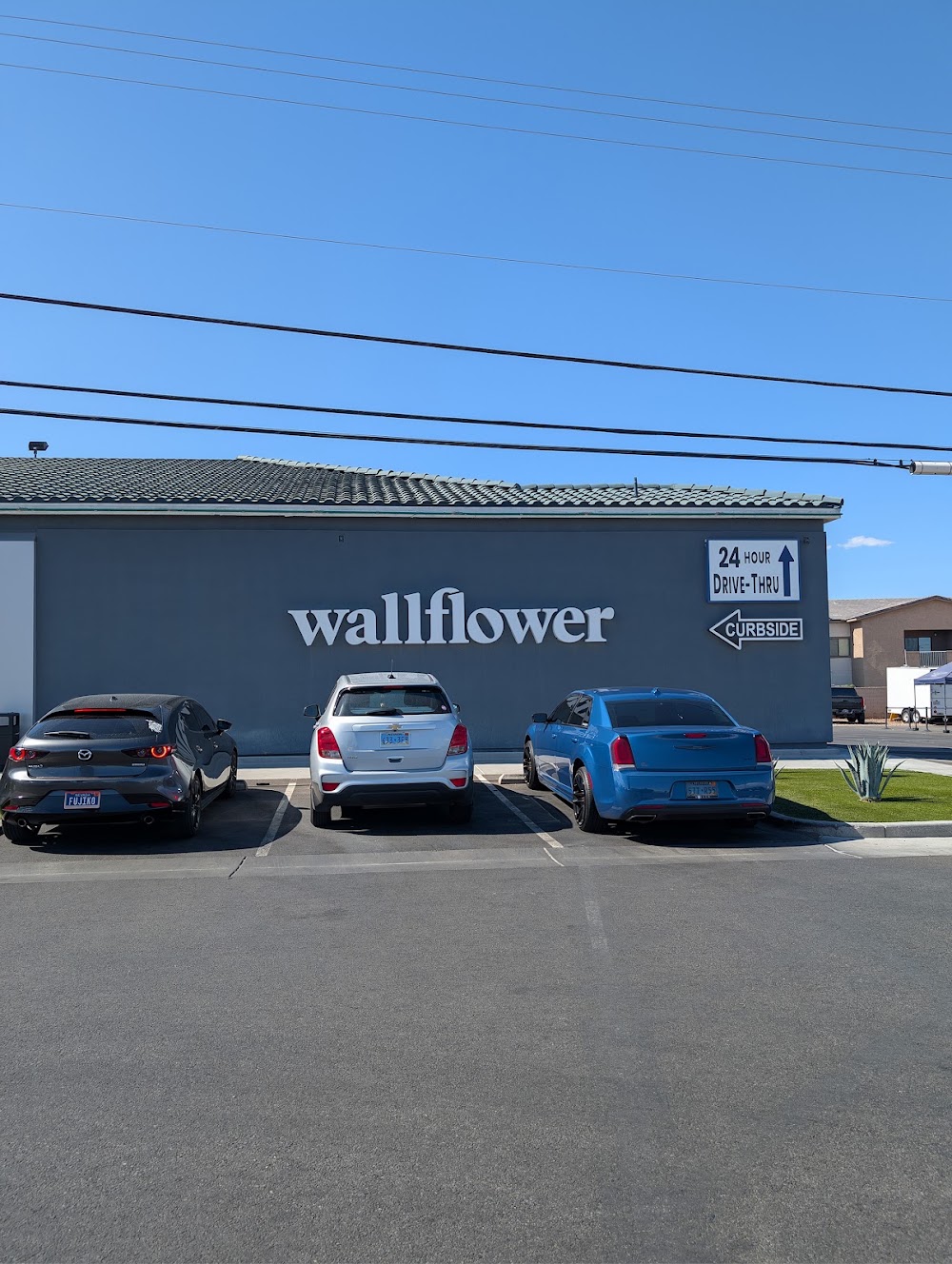 Wallflower Cannabis House Weed Dispensary Las Vegas photo 1