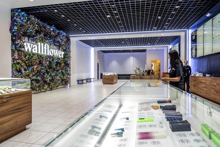 Wallflower Cannabis House Weed Dispensary Las Vegas photo 7