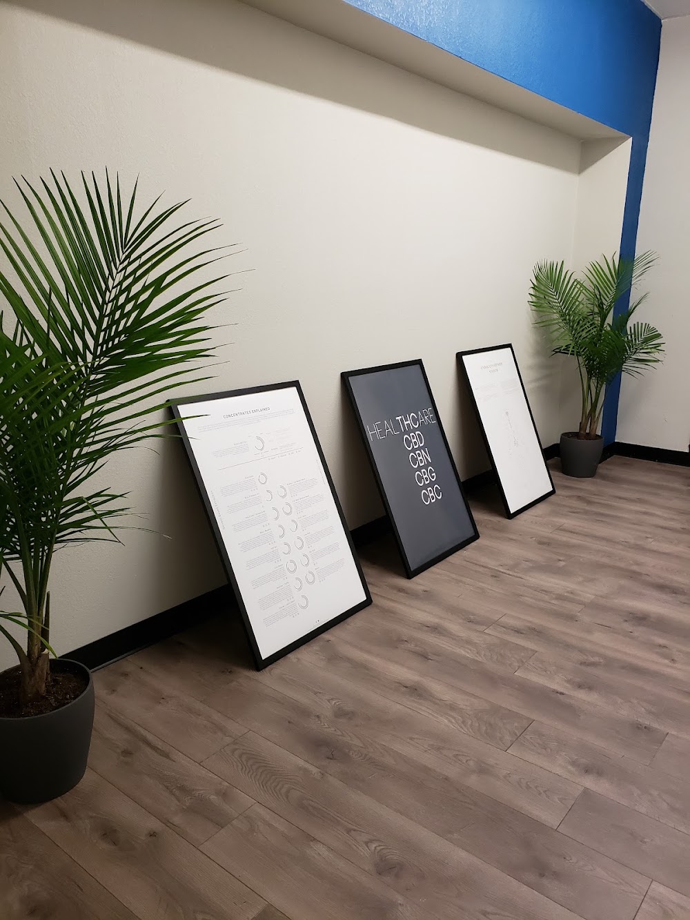 Waves Cannabis CO photo 8