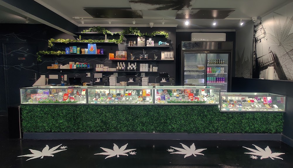 Weedhub photo 2