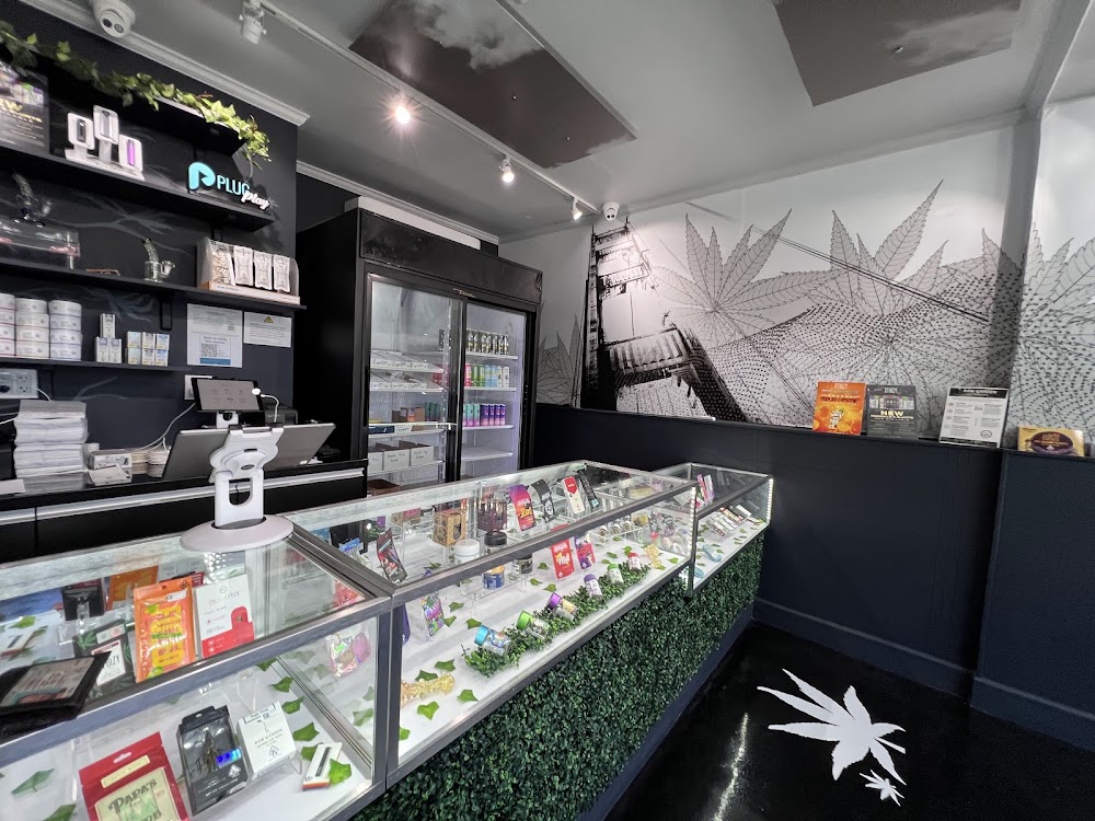 Weedhub photo 5