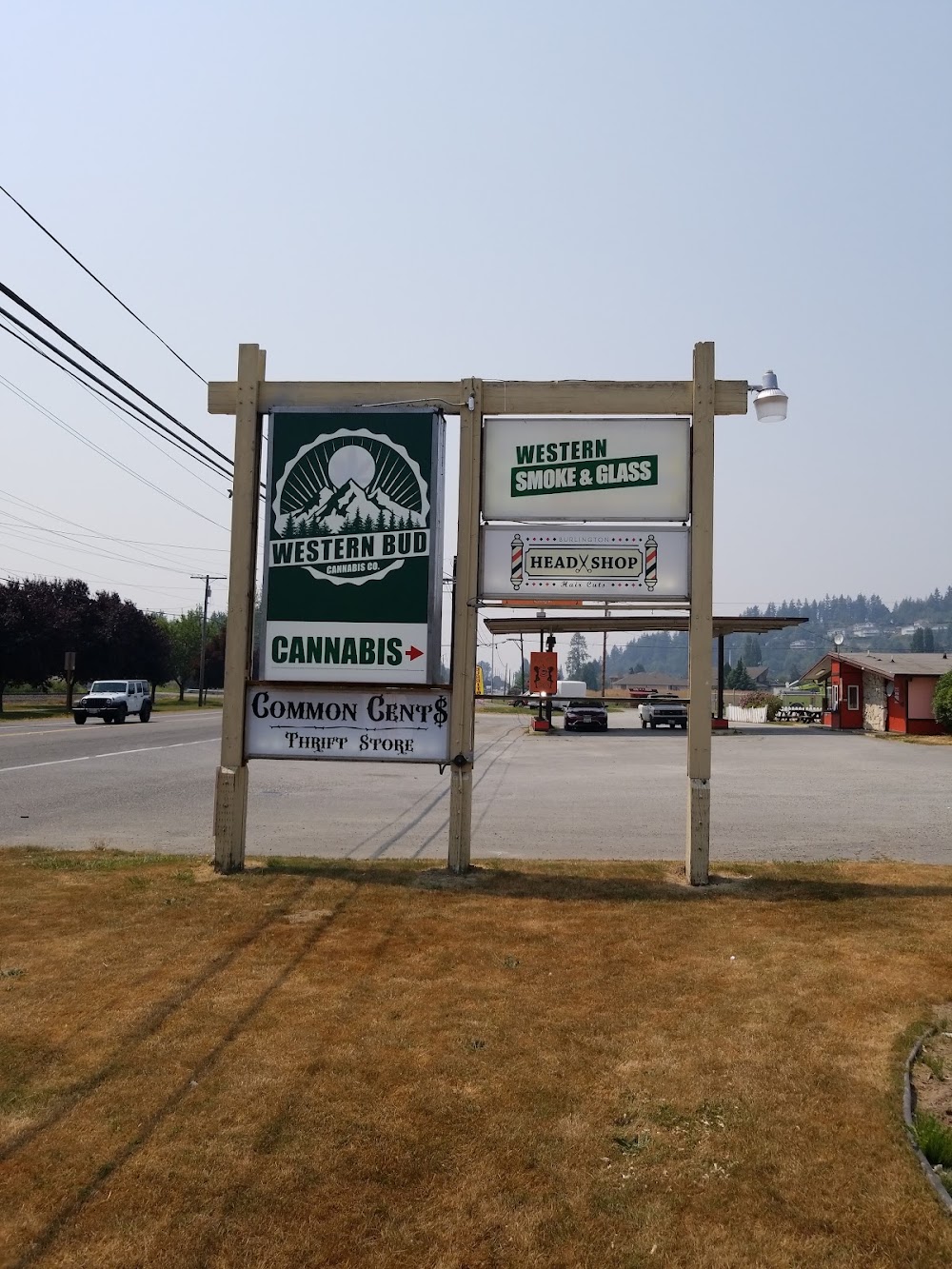 Western Bud photo 4