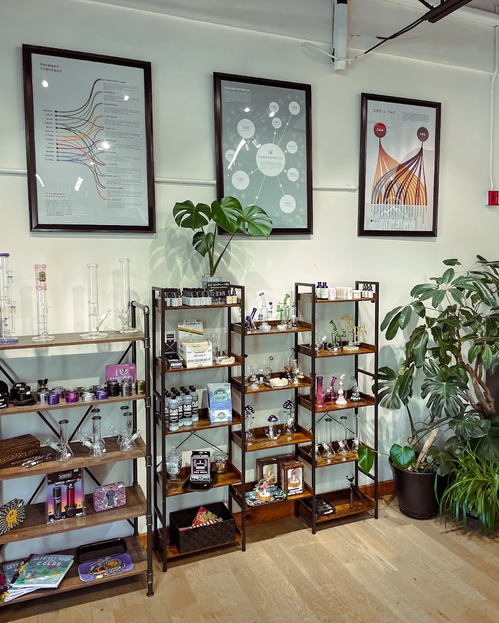 White Mountain Craft Cannabis photo 5