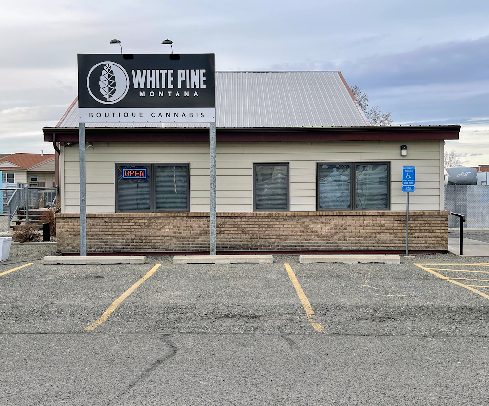 White Pine Montana photo 1