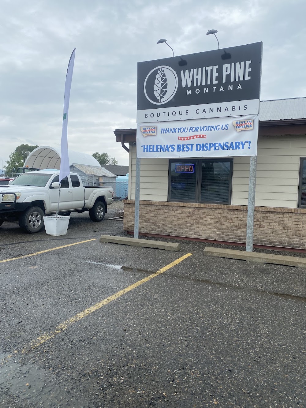 White Pine Montana photo 3