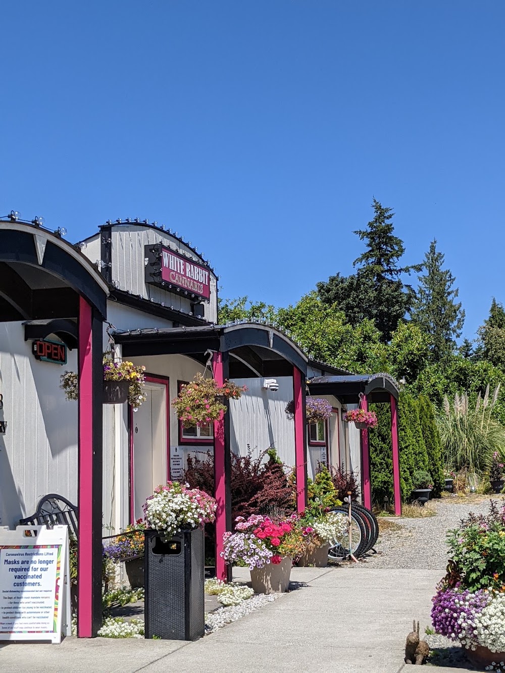 White Rabbit Retail photo 1