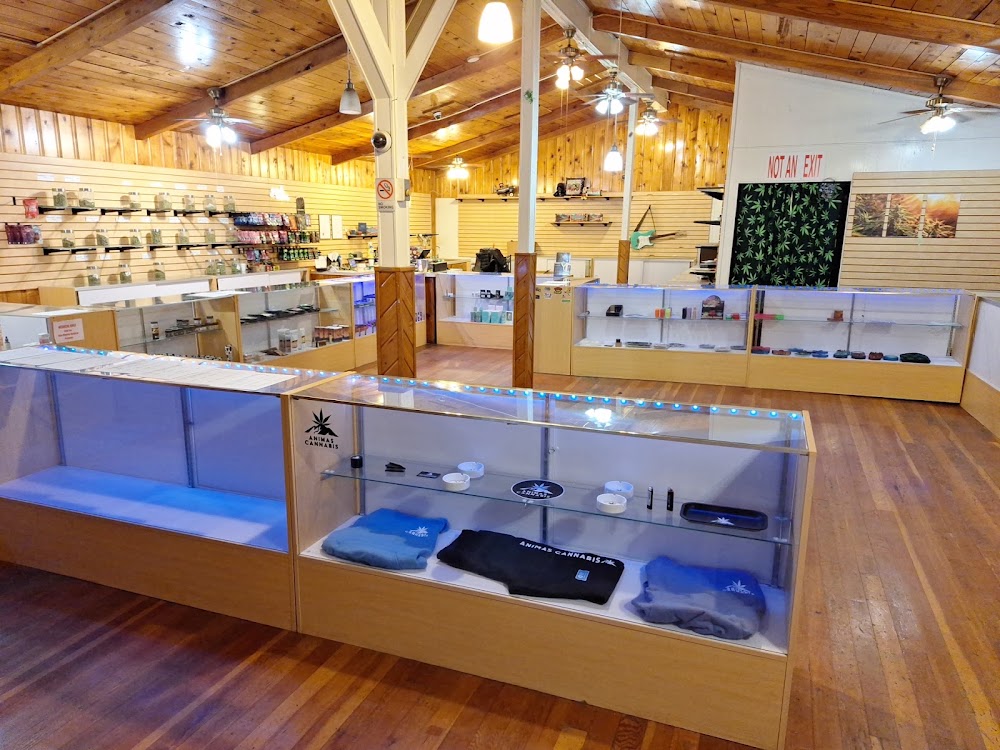 Willow Springs Cannabis photo 2