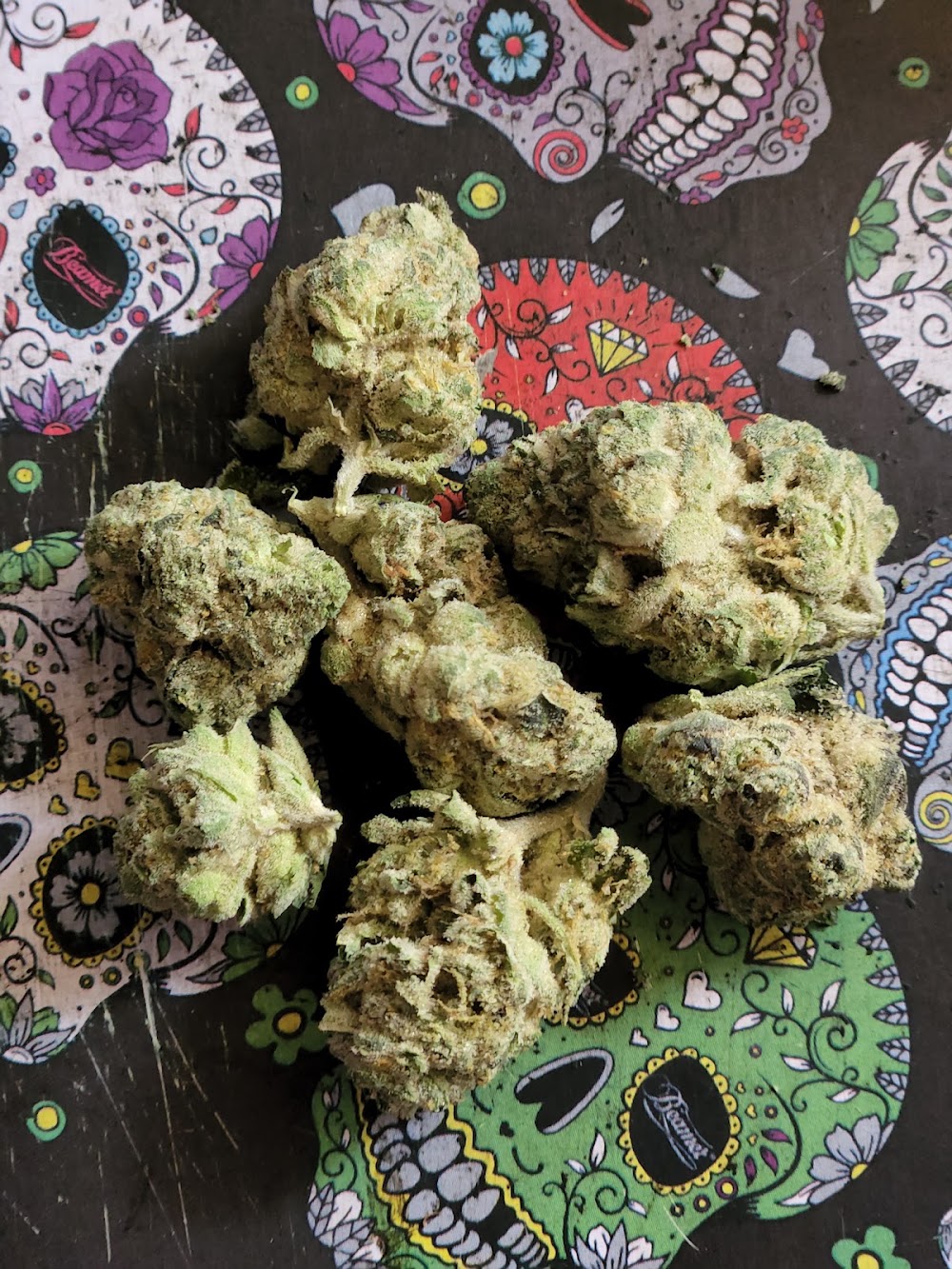 Windy City Cannabis photo 7