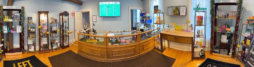 Windy Hill Wellness photo 5