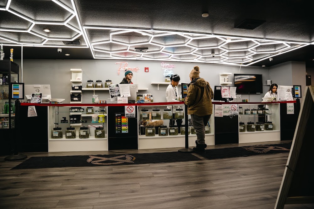 Xclusive Cannbis photo 2