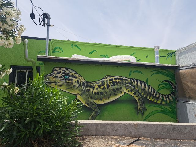 Zanzibar photo 7