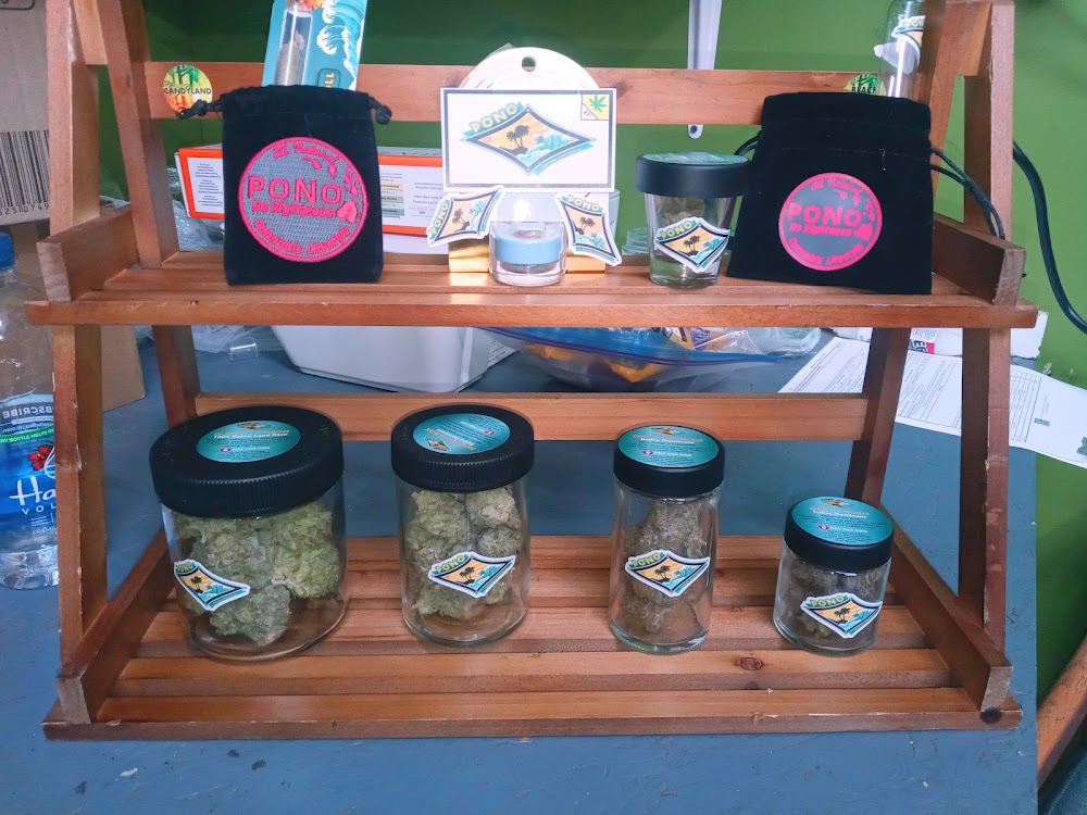 Zia Recreational photo 6